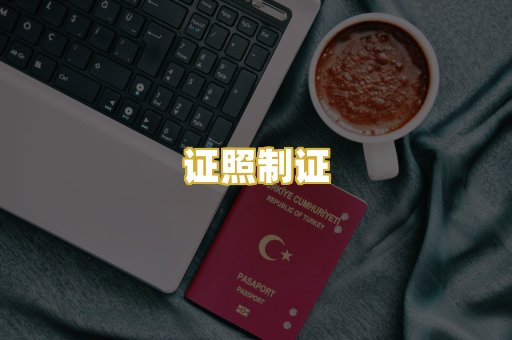 证照制证